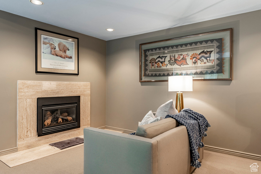 Living room with carpet flooring and a high end fireplace