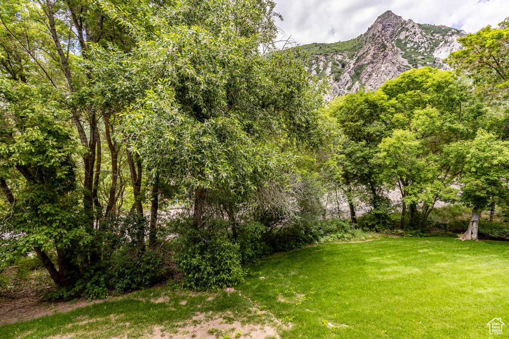 View of yard with a mountain view