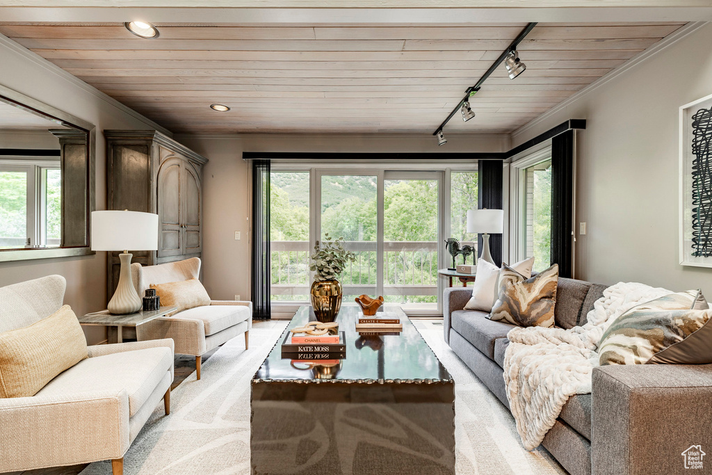 Living room featuring ornamental molding, a healthy amount of sunlight, and rail lighting