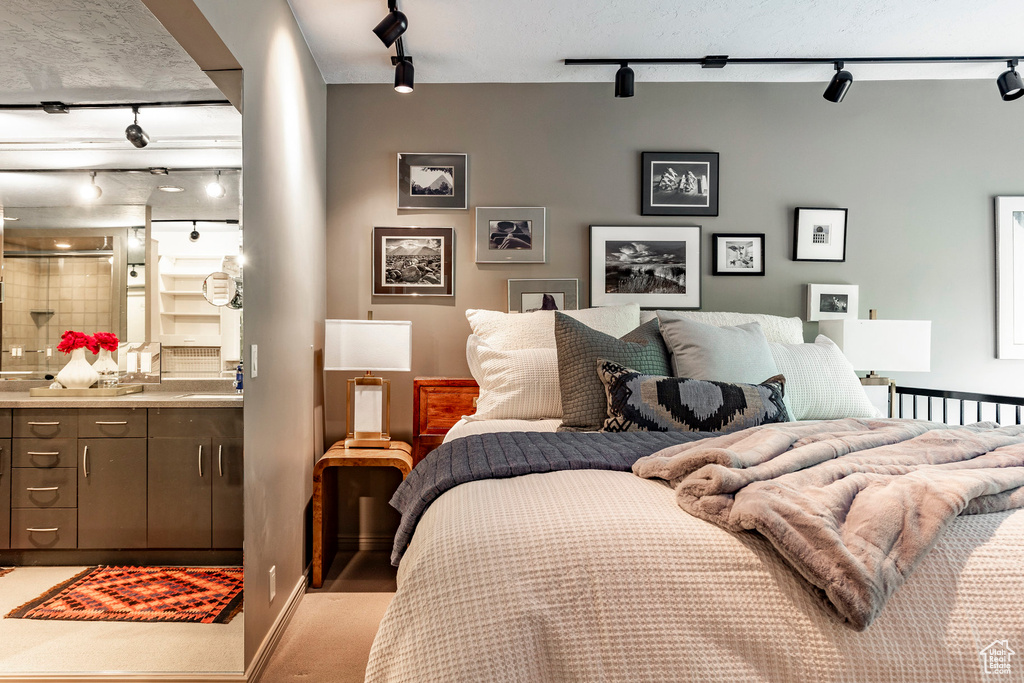 Bedroom with track lighting and sink