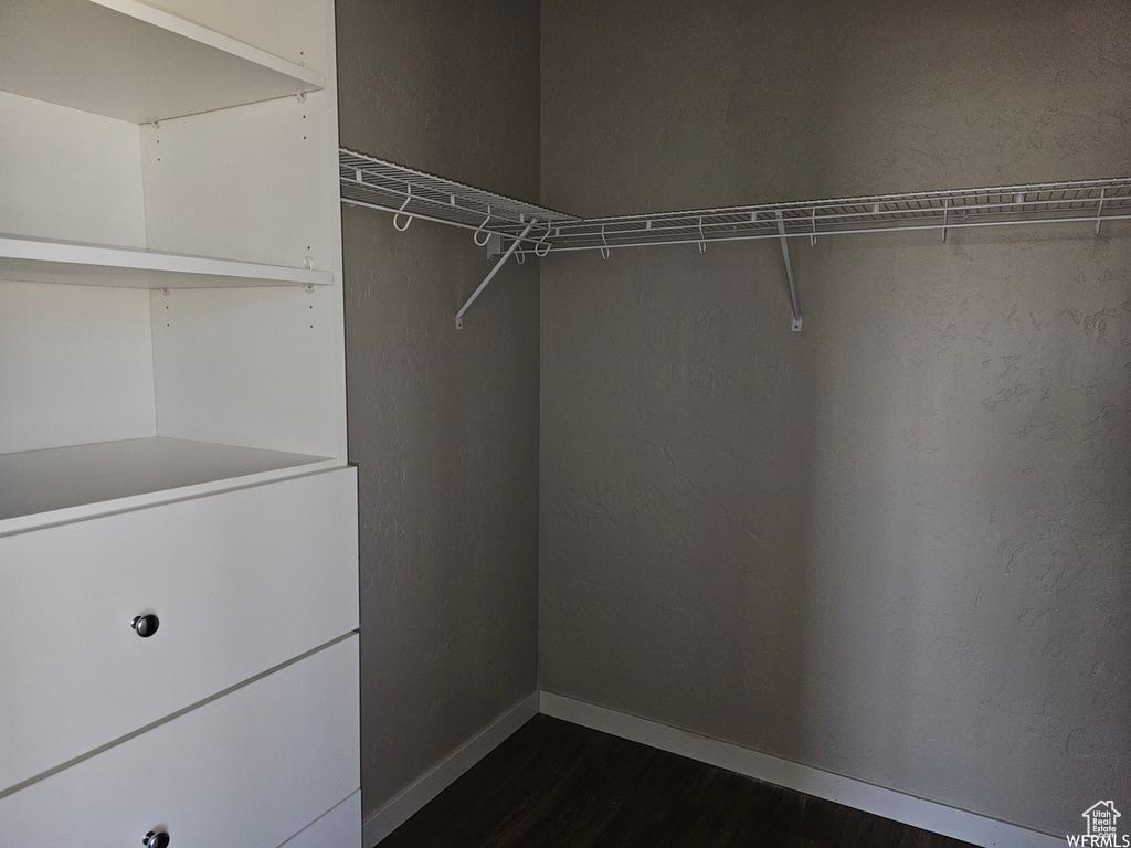 Spacious closet with dark hardwood / wood-style floors