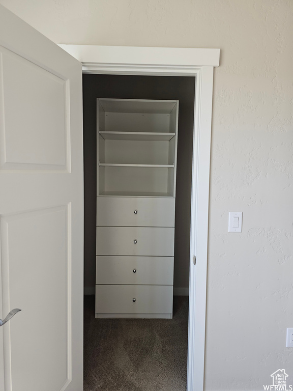 Walk in closet with dark colored carpet