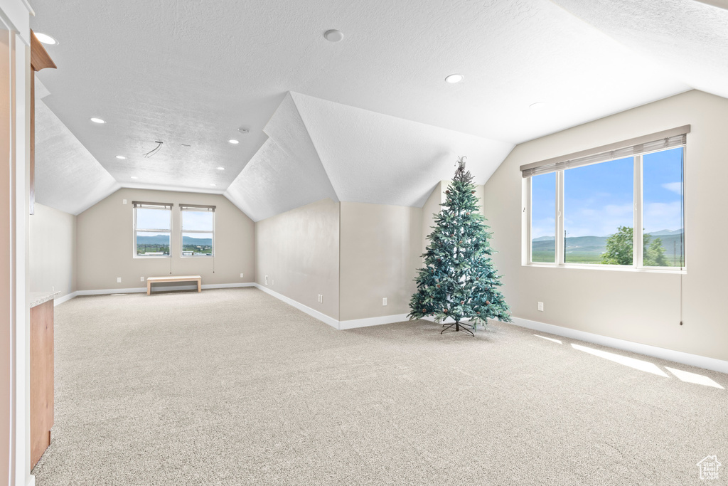 Additional living space featuring carpet flooring, a textured ceiling, and lofted ceiling