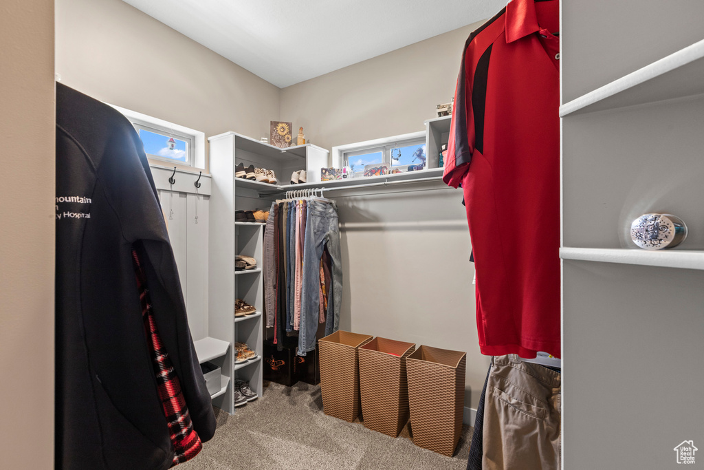 Spacious closet featuring carpet