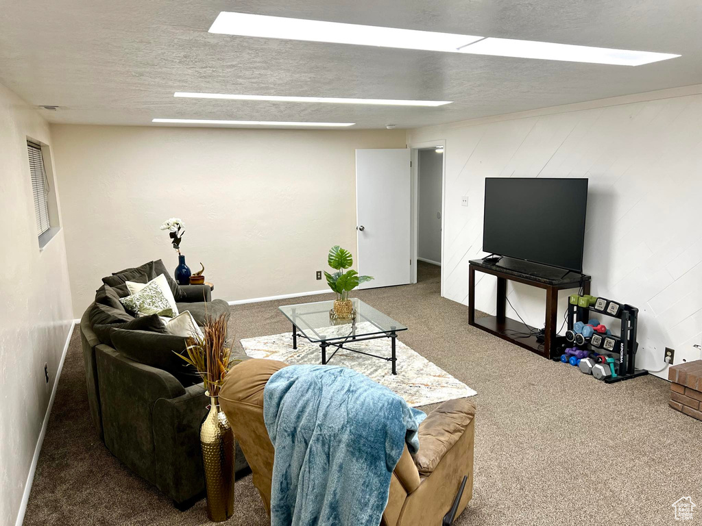 Carpeted living room with a textured ceiling