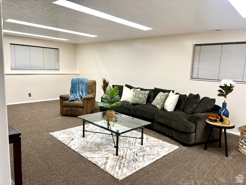 Living room featuring carpet