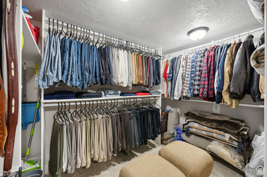 Spacious closet with carpet flooring