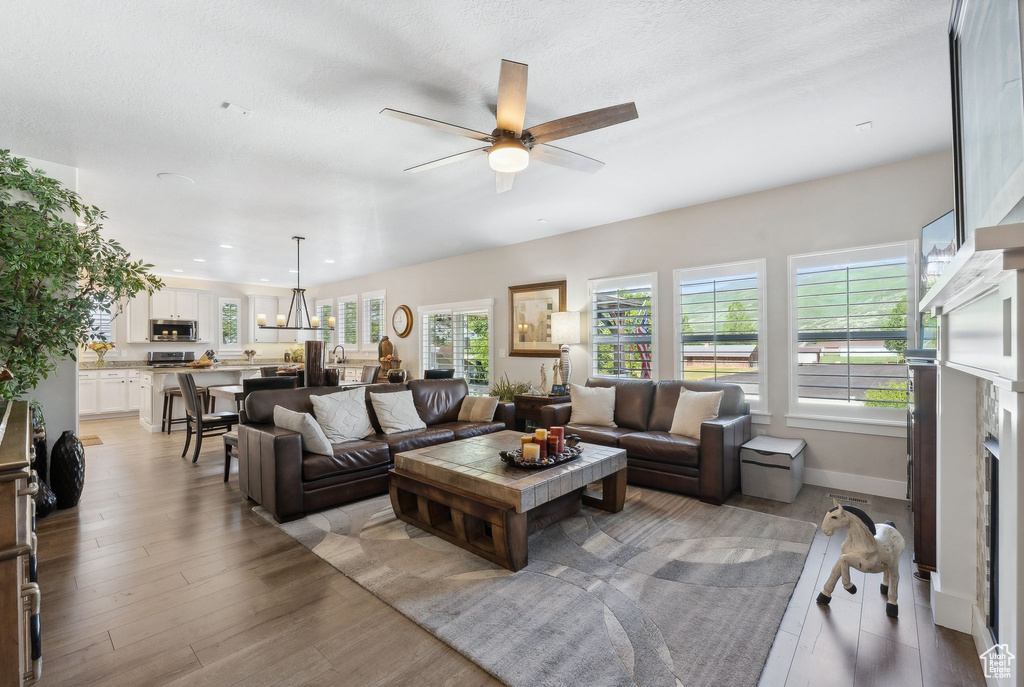 Living room with plenty of natural light, ceiling fan, and light hardwood / wood-style flooring