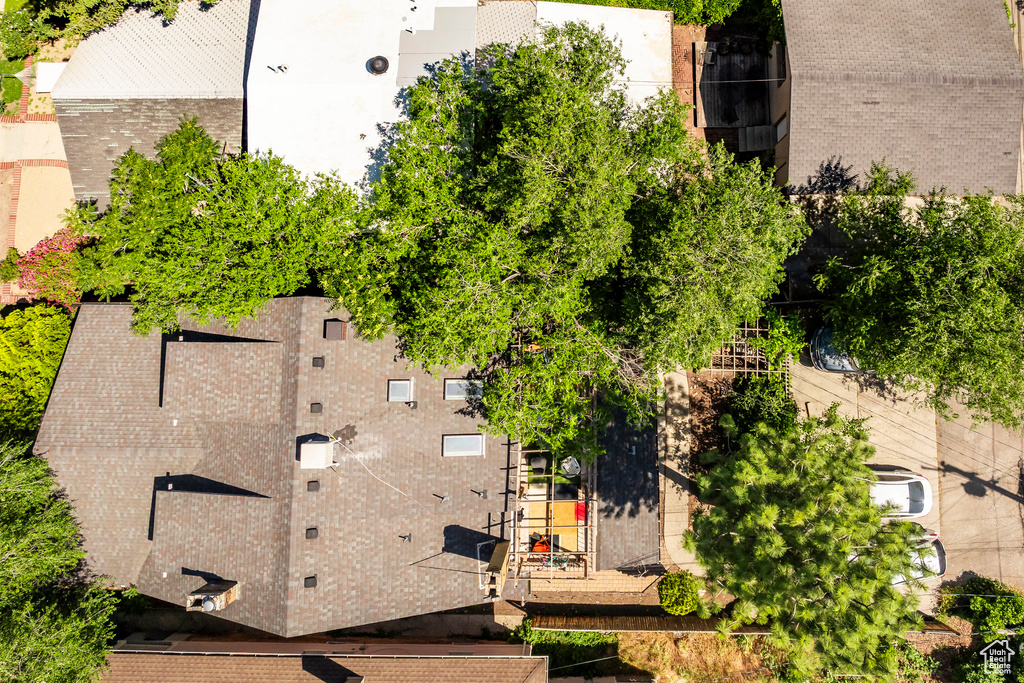 View of bird's eye view