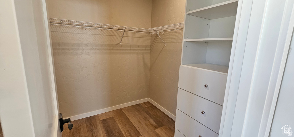 Spacious closet featuring hardwood / wood-style flooring