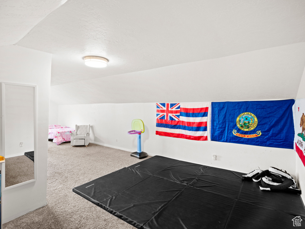 Exercise area with a textured ceiling, carpet floors, and lofted ceiling