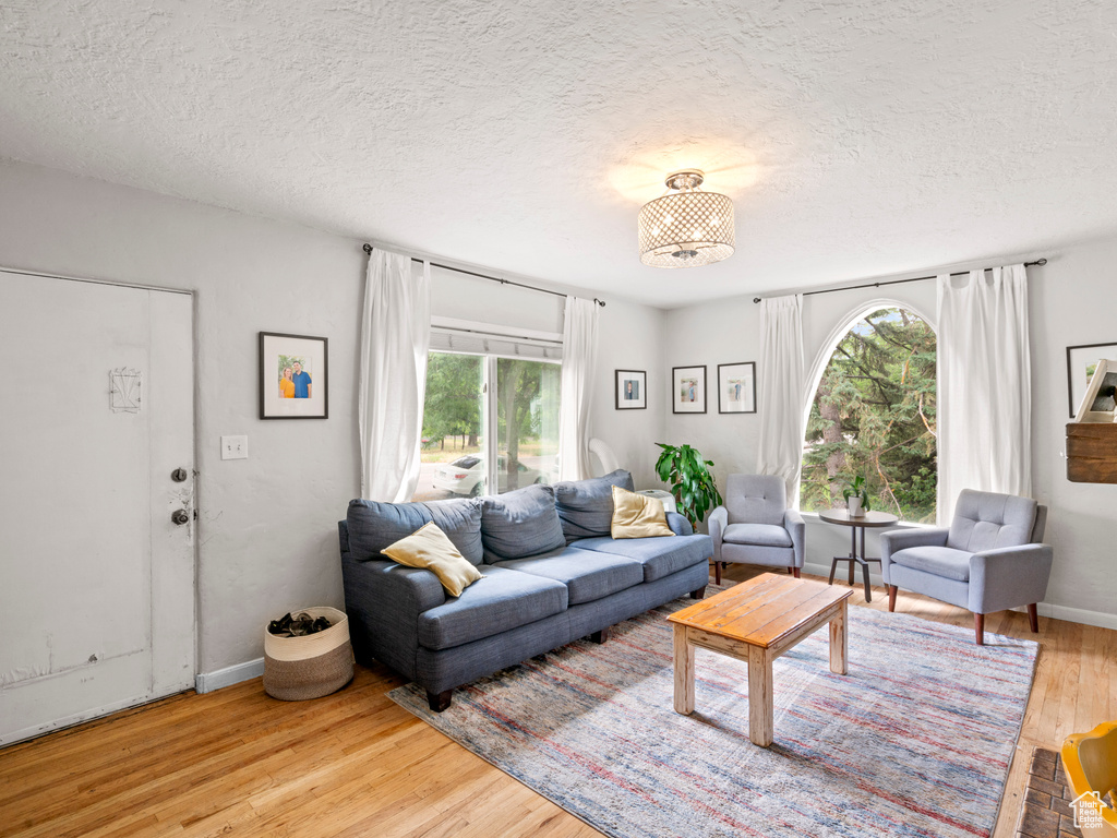 Living room featuring a textured ceiling, plenty of natural light, and light wood-type flooring