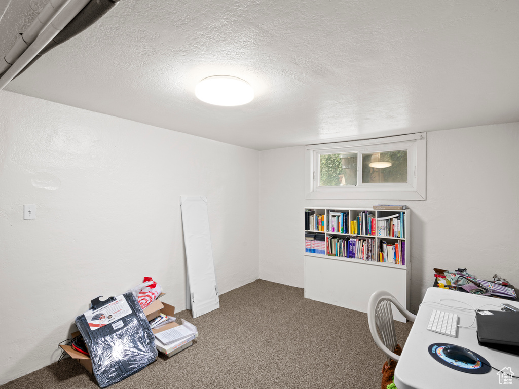 Carpeted office space with a textured ceiling