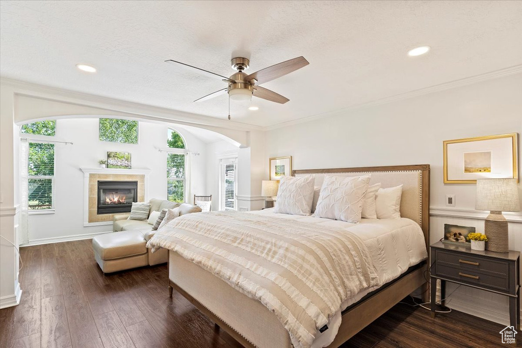 Bedroom featuring ceiling fan, a tile fireplace, dark hardwood / wood-style floors, and multiple windows