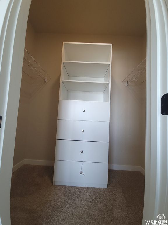 Spacious closet with dark colored carpet