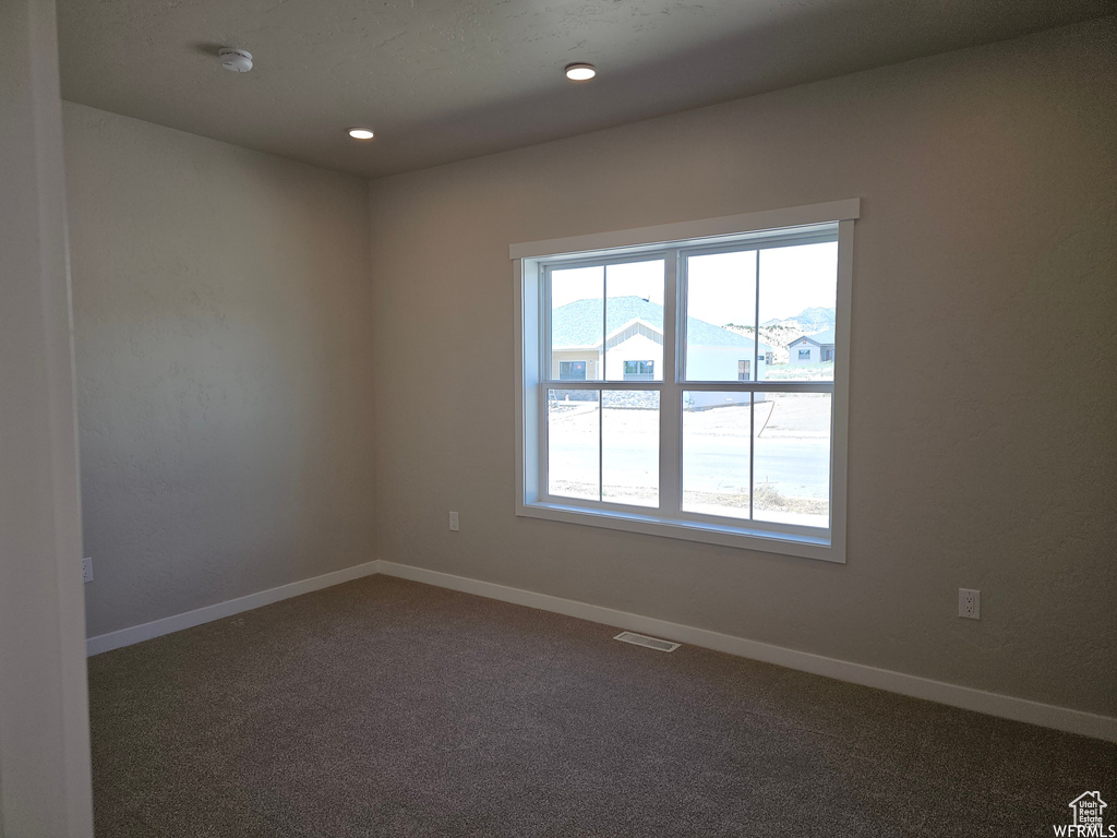 Empty room featuring carpet and plenty of natural light