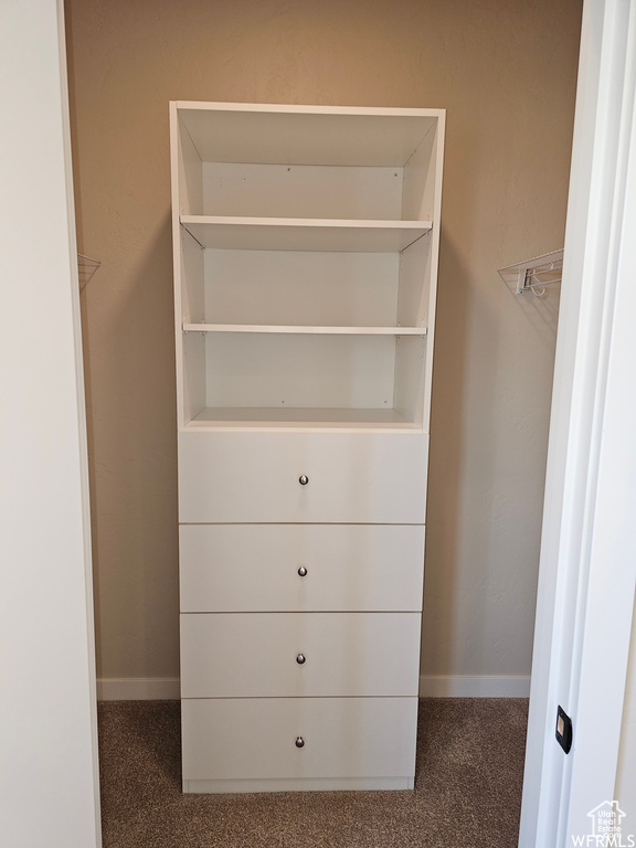 Walk in closet with dark colored carpet