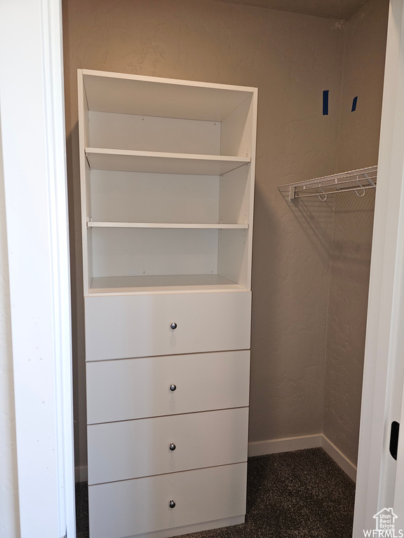 Walk in closet with carpet floors