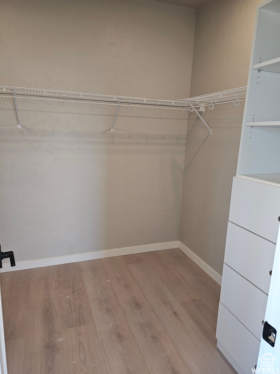 Spacious closet with wood-type flooring