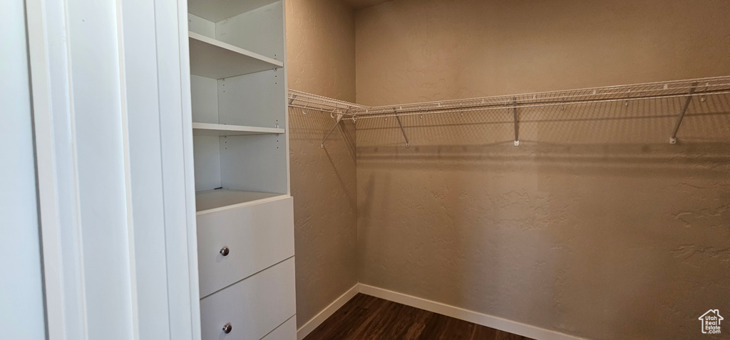 Spacious closet with dark hardwood / wood-style flooring