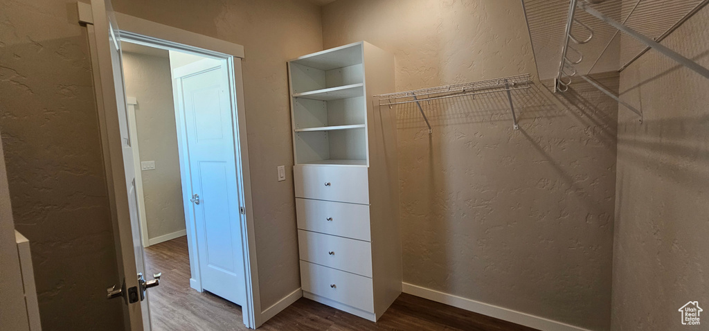 Spacious closet featuring hardwood / wood-style floors