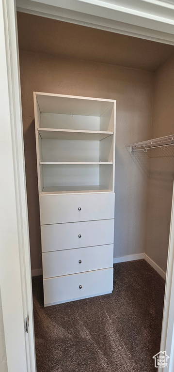 Walk in closet featuring carpet