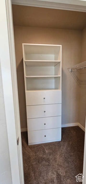 Walk in closet with carpet