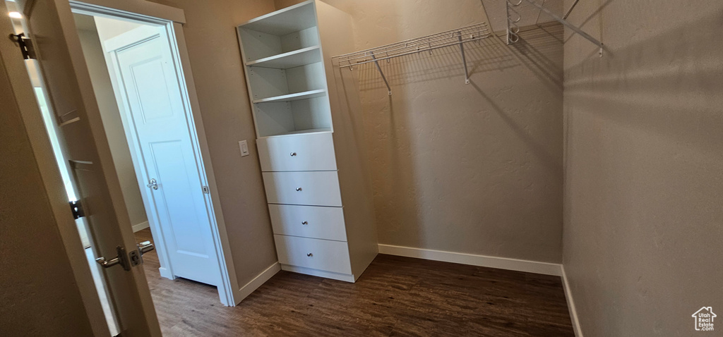 Walk in closet featuring dark wood-type flooring