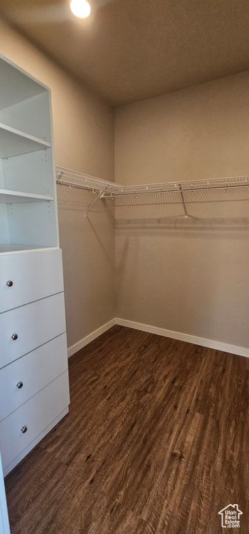 Walk in closet with dark hardwood / wood-style flooring