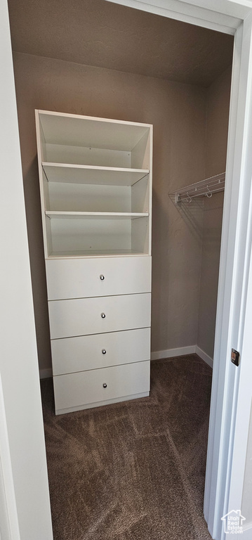 Spacious closet featuring dark colored carpet