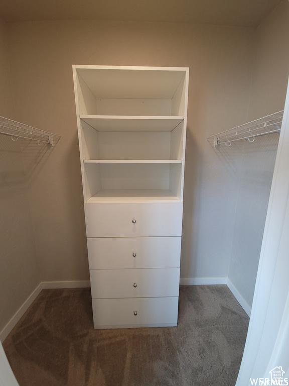 Spacious closet featuring dark colored carpet