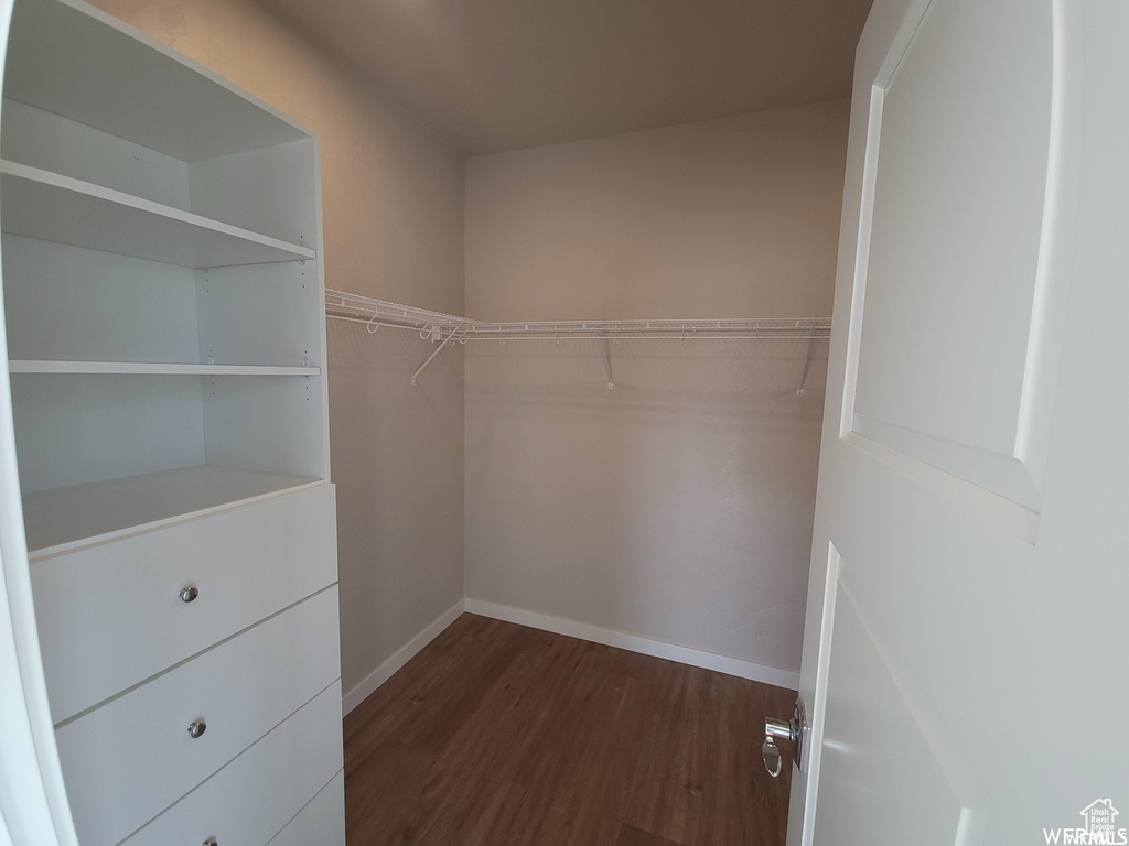 Walk in closet featuring dark hardwood / wood-style floors