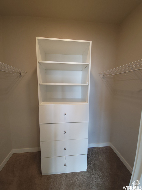 Spacious closet featuring carpet flooring