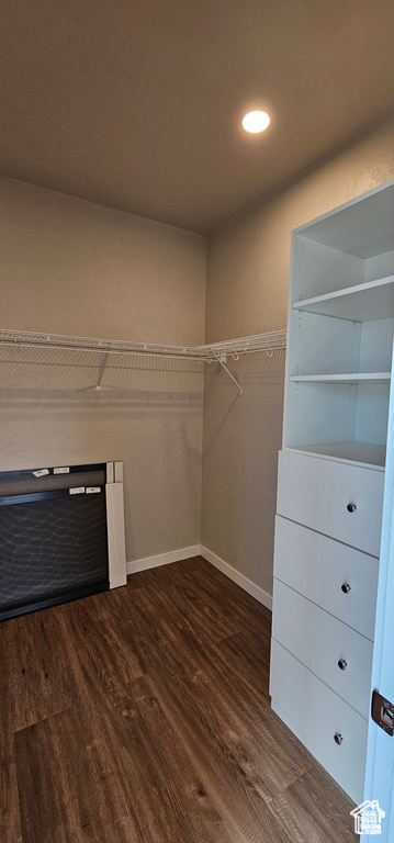 Walk in closet featuring wood-type flooring