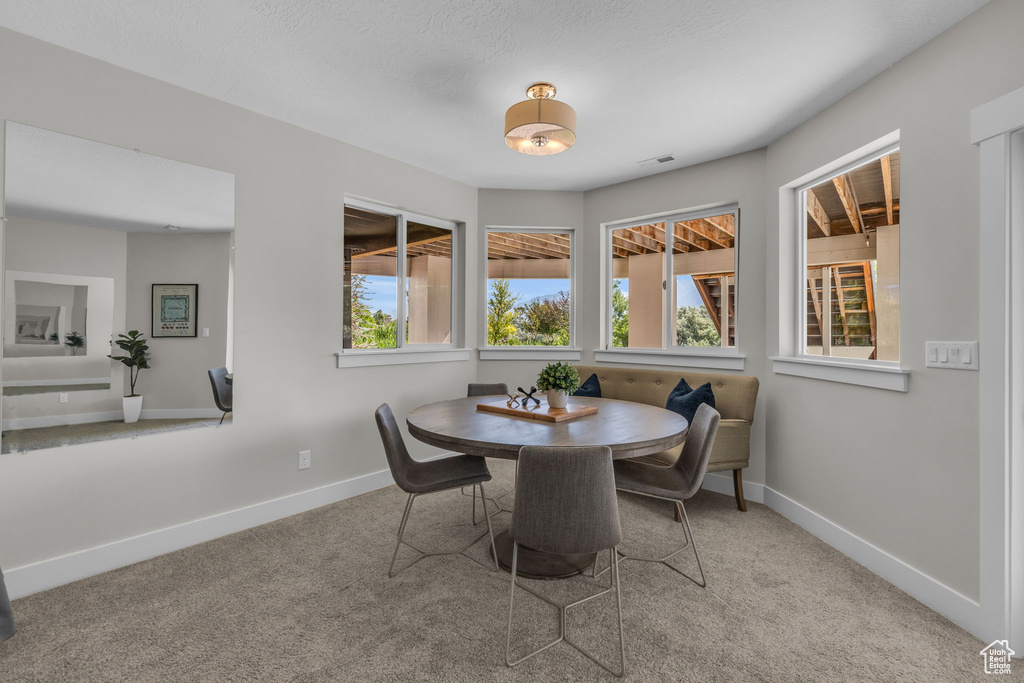 View of carpeted dining room