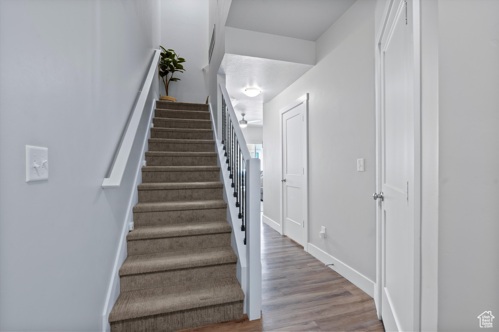 Stairs featuring wood-type flooring