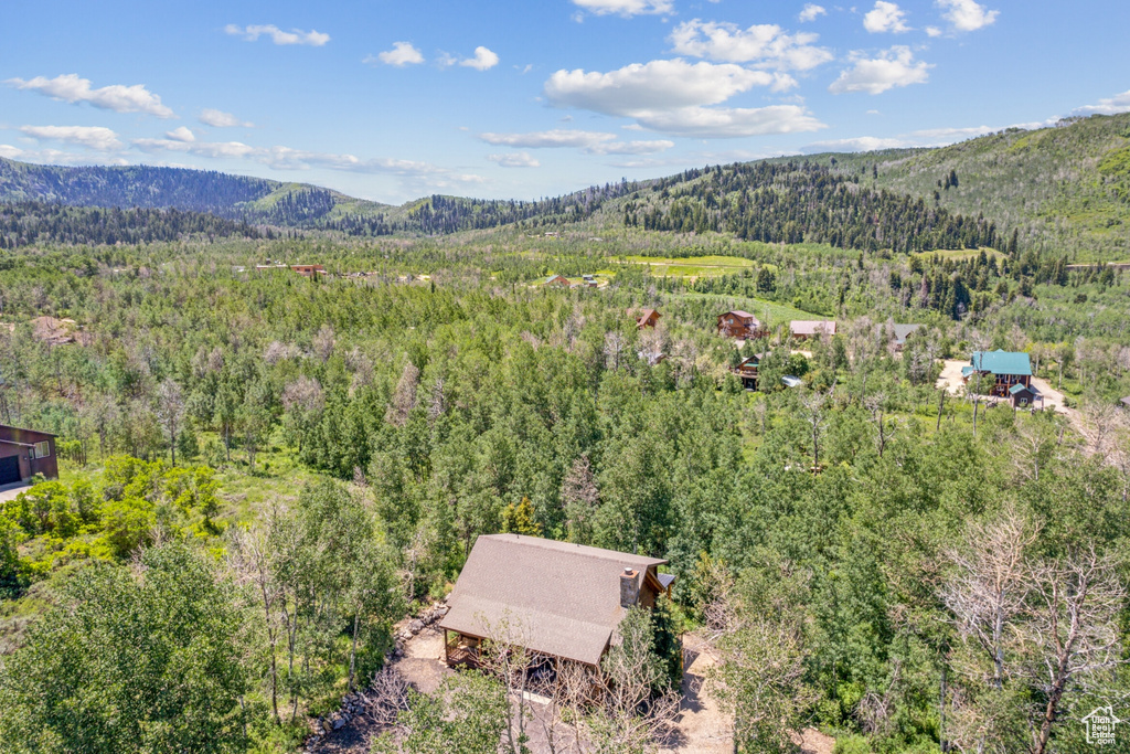 Aerial view with a mountain view