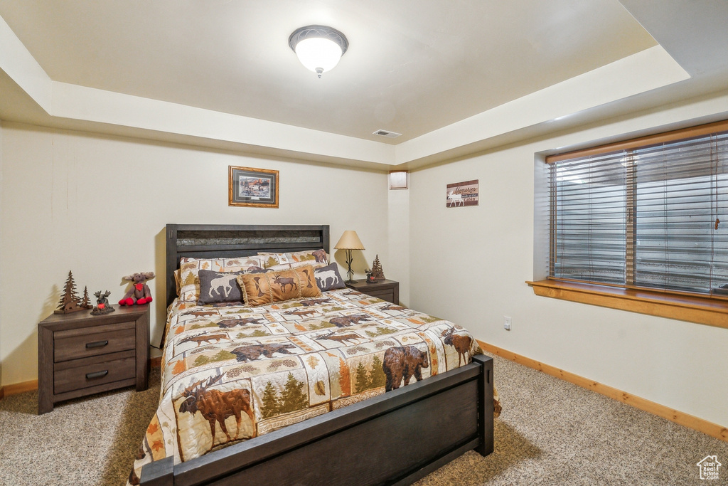 Carpeted bedroom featuring a raised ceiling