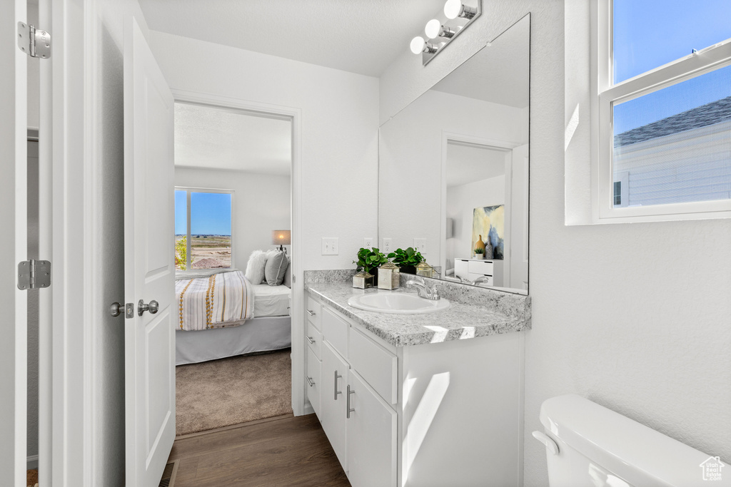 Bathroom featuring vanity, hardwood / wood-style flooring, and toilet