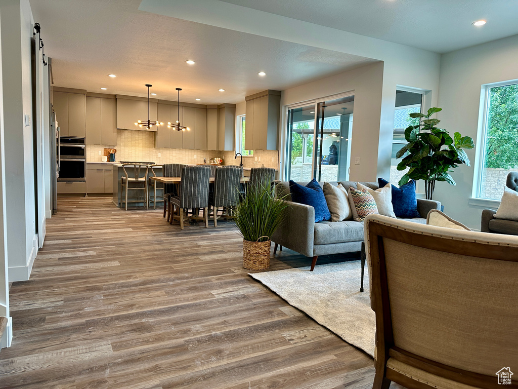 Living room featuring sink, a healthy amount of sunlight, light wood-type flooring, and a barn door