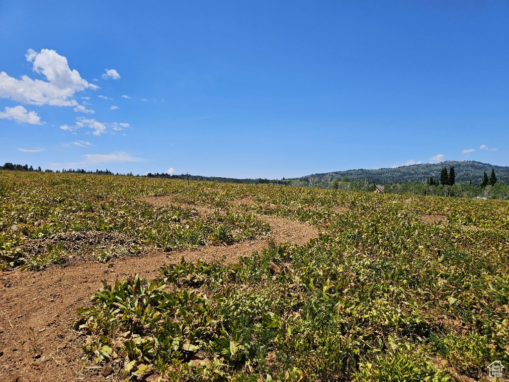 View of mountain feature featuring a rural view