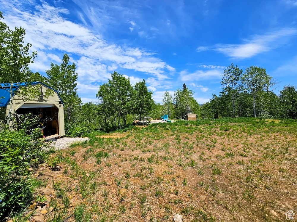 View of yard with a storage unit