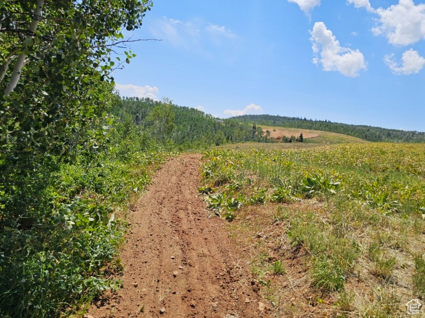 View of local wilderness featuring a rural view