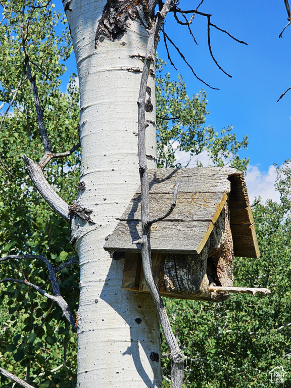 View of details