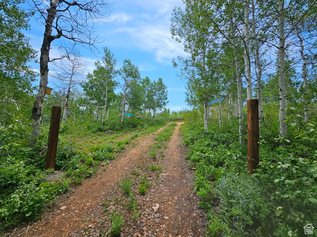 View of nature
