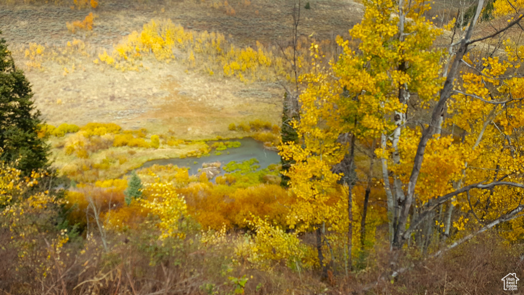 View of nature