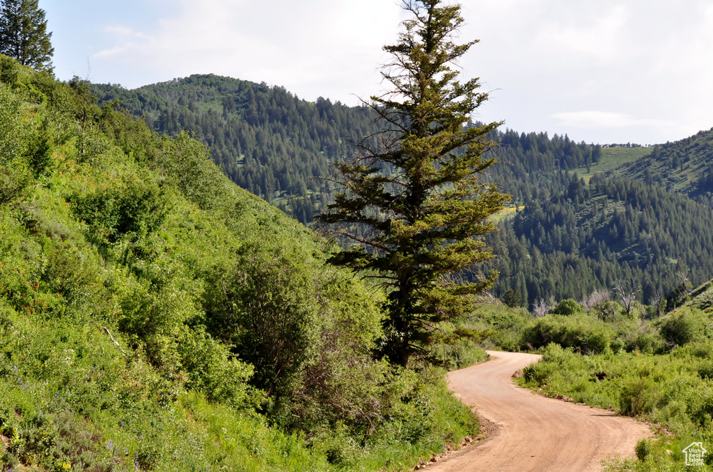 View of mountain feature