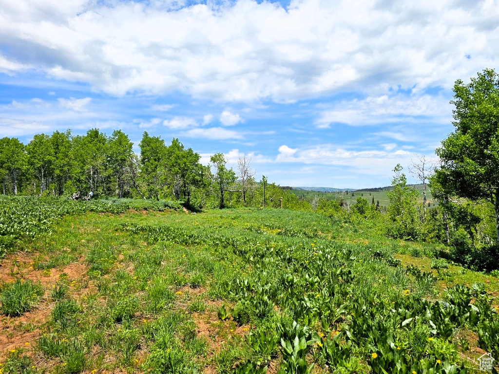 View of nature