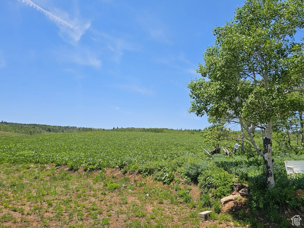 View of local wilderness featuring a rural view