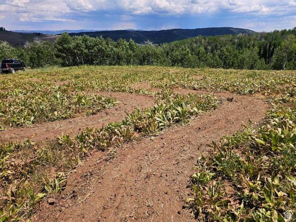 View of mountain feature featuring a rural view